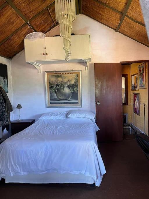 Casa Marys En El Tesoro De La Barra Villa Punta del Este Dış mekan fotoğraf